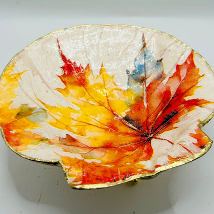 Autumn Leaves XL Deep Sea Scallop from Booth Bay Harbor, ME