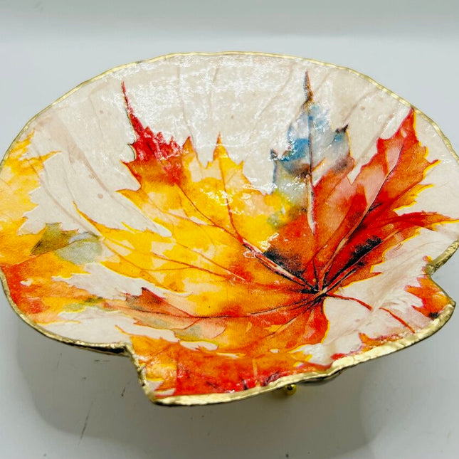 Autumn Leaves XL Deep Sea Scallop from Booth Bay Harbor, ME