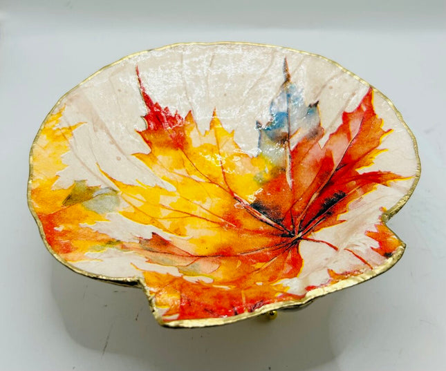 Autumn Leaves XL Deep Sea Scallop from Booth Bay Harbor, ME