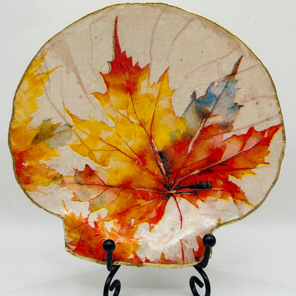 Autumn Leaves XL Deep Sea Scallop from Booth Bay Harbor, ME