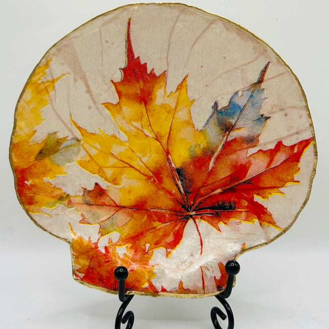 Autumn Leaves XL Deep Sea Scallop from Booth Bay Harbor, ME