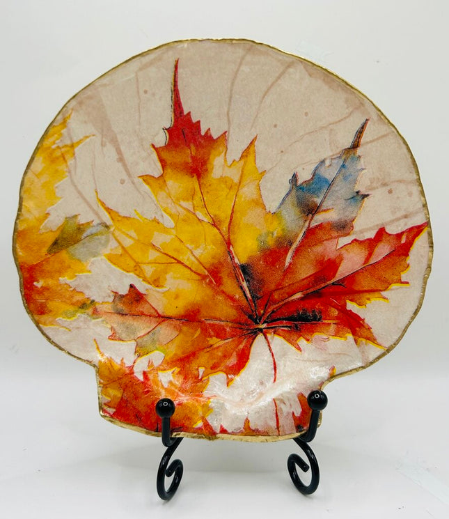 Autumn Leaves XL Deep Sea Scallop from Booth Bay Harbor, ME