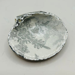 Silver Snowflake Quahog from Nahant Beach, MA - view 1