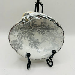 Silver Snowflake Quahog from Nahant Beach, MA - view 2