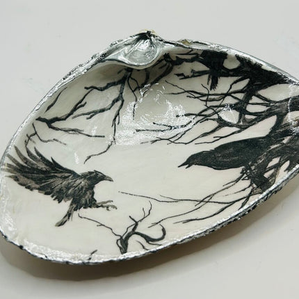 Crows XL Clam from Newport, RI