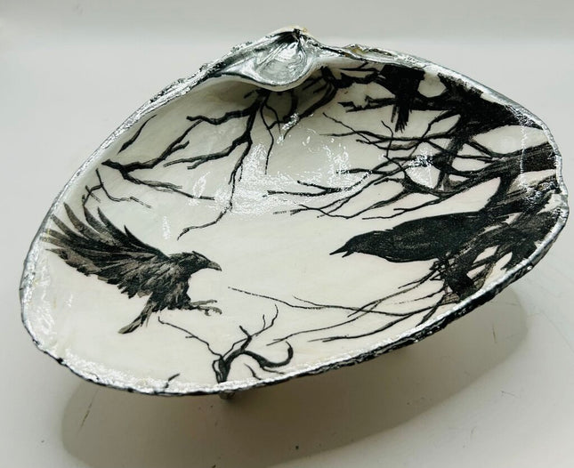 Crows XL Clam from Newport, RI