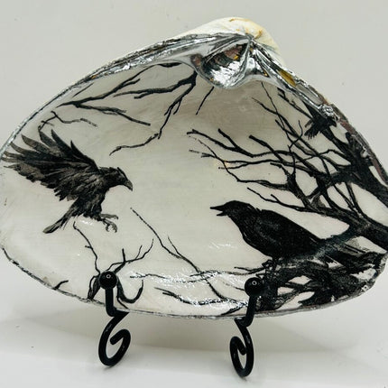 Crows XL Clam from Newport, RI