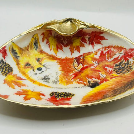 Autumn Fox XXL Clam (Acadia, Canada)