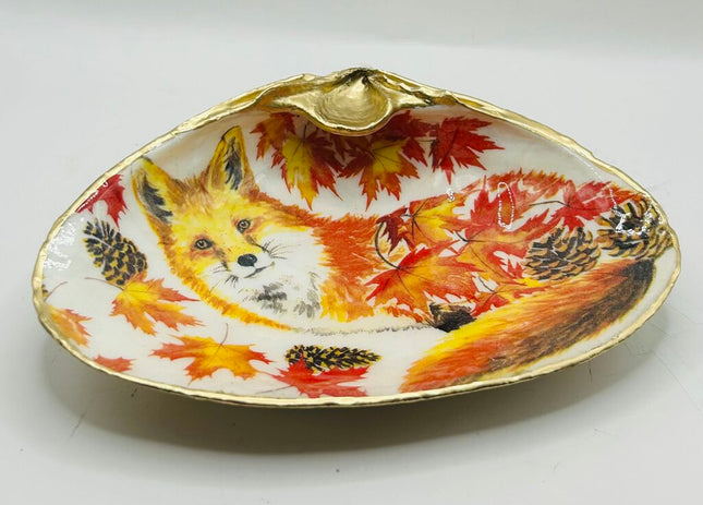 Autumn Fox XXL Clam (Acadia, Canada)
