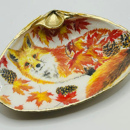 Autumn Fox XXL Clam (Acadia, Canada)