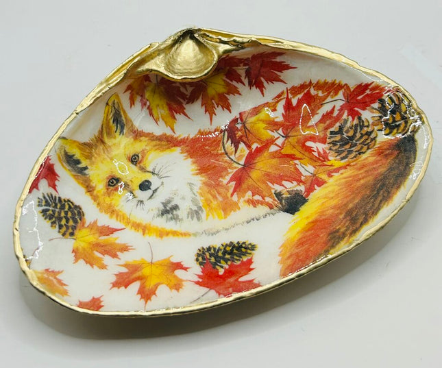 Autumn Fox XXL Clam (Acadia, Canada)