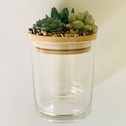 Succulent Garden Jar - 7oz - view 1