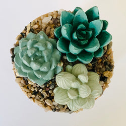 Succulent Garden Jar - 7oz - view 2