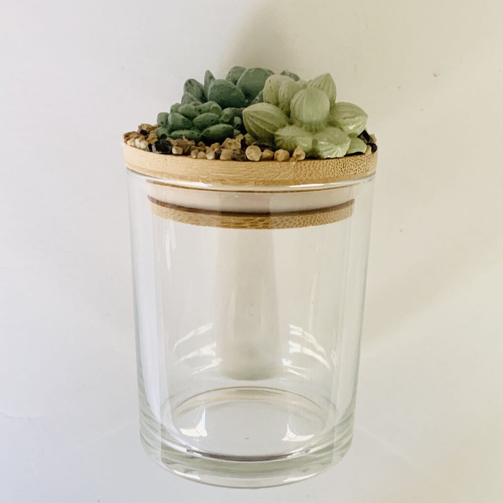 Succulent Garden Jar - 7oz
