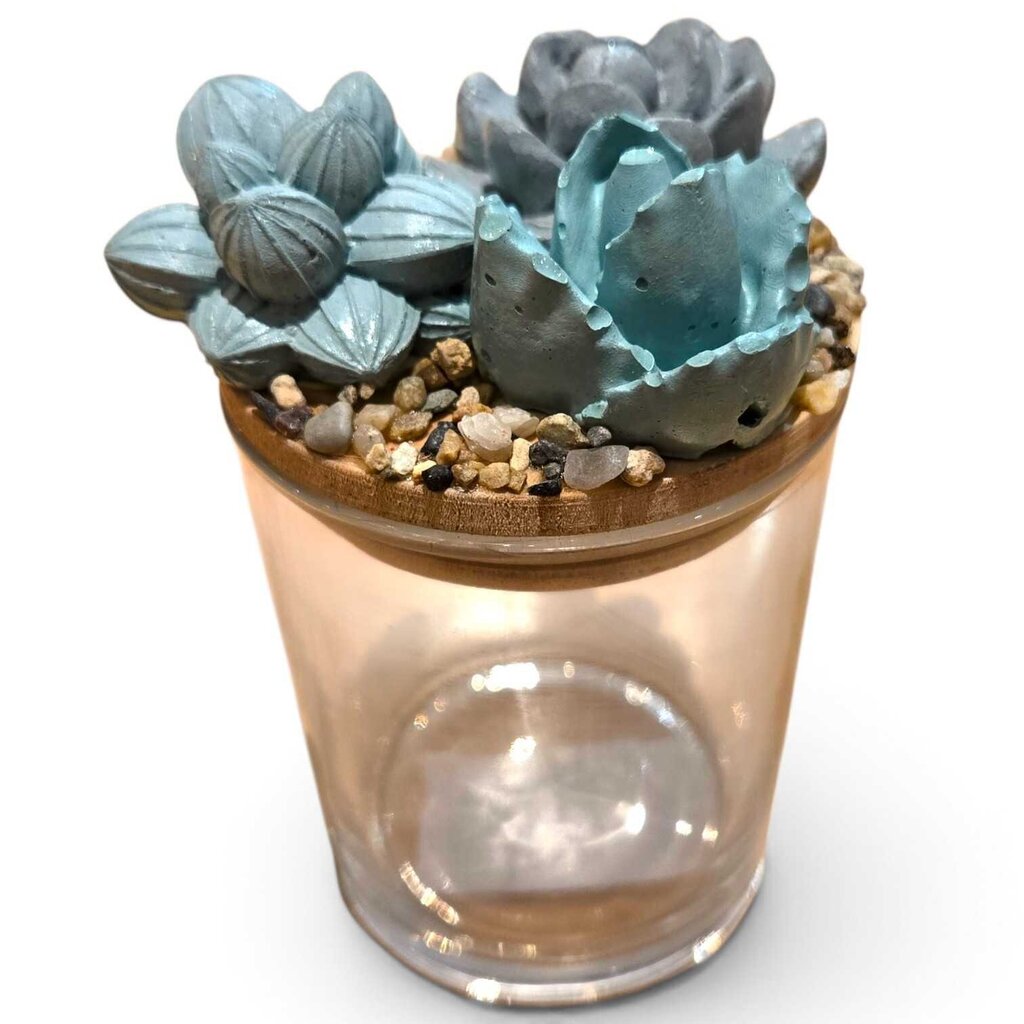 Succulent Garden Jar - 7oz