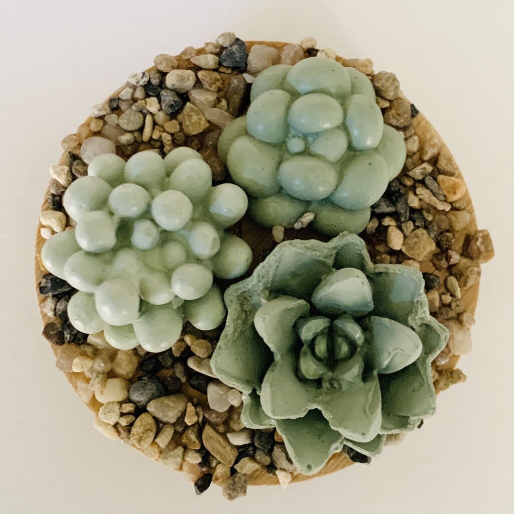 Succulent Garden Jar - 7oz