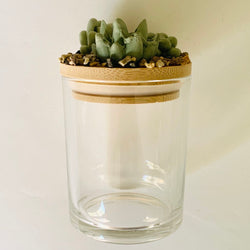 Succulent Garden Jar - 7oz - view 2