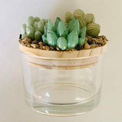 Succulent Garden Jar - 4oz - view 1