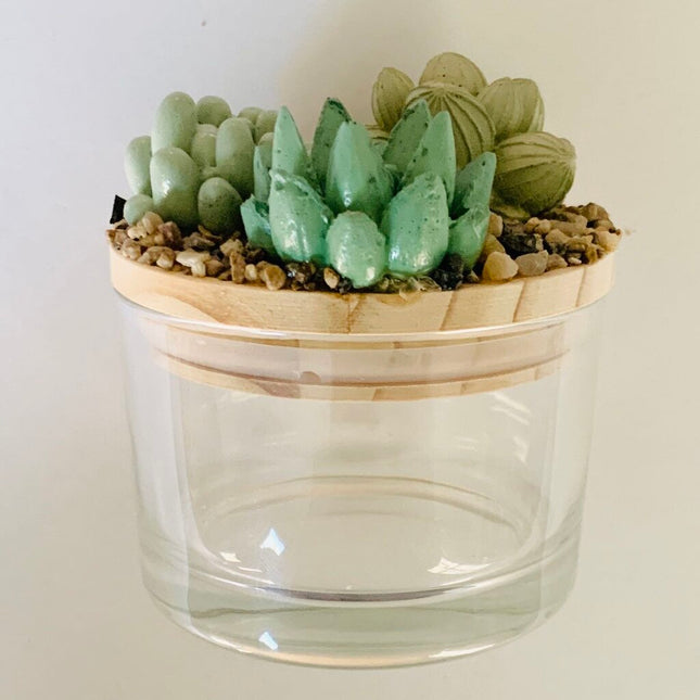 Succulent Garden Jar - 4oz