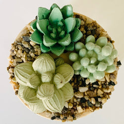Succulent Garden Jar - 4oz - view 2