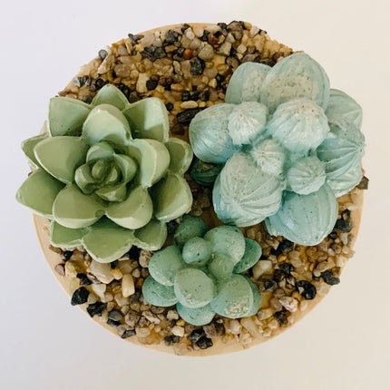 Succulent Garden Jar - 4oz