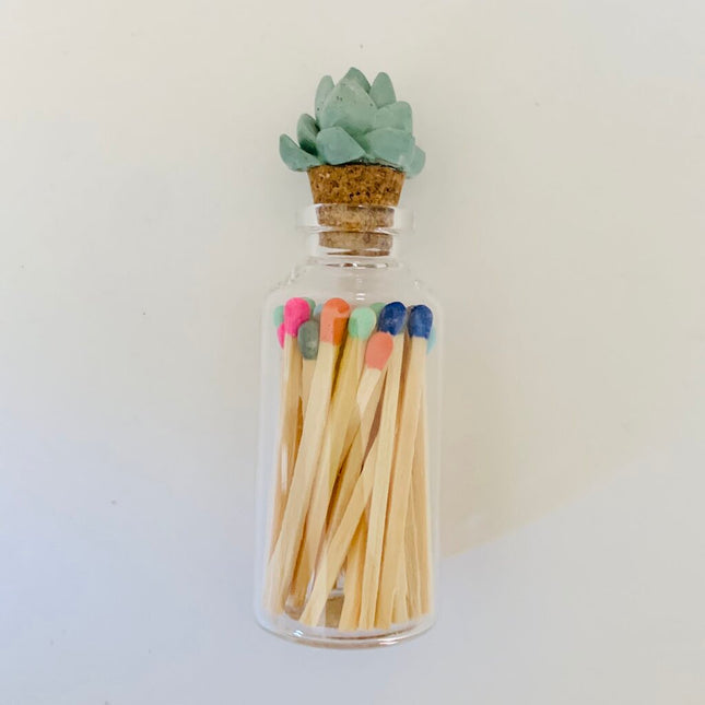 Succulent Glass Match Jar