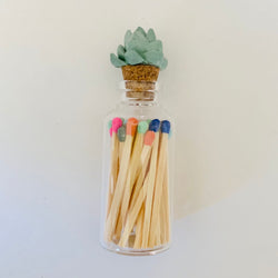 Succulent Glass Match Jar - view 1
