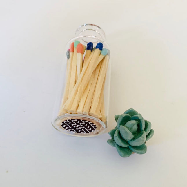 Succulent Glass Match Jar