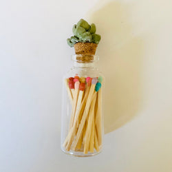 Succulent Glass Match Jar - view 1