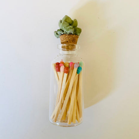 Succulent Glass Match Jar