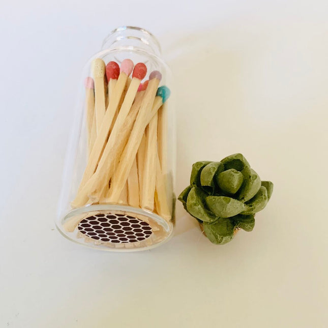 Succulent Glass Match Jar