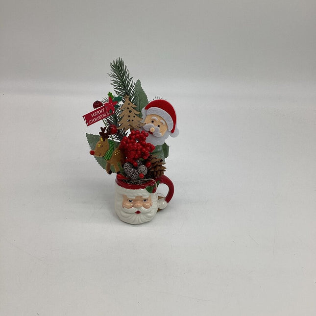 Santa Face Mini Cup