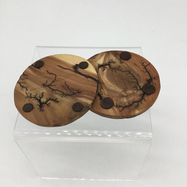 Fractal Burned Wood Coasters/Set of 2