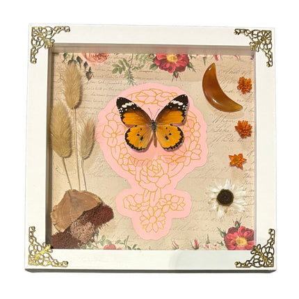 African Monarch Butterfly Shadow Frame