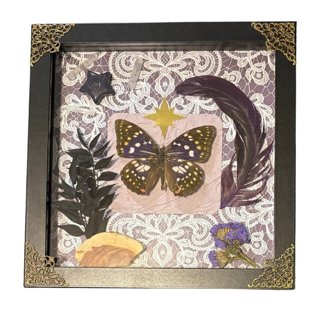 Purple Emperor Butterfly Shadow Frame