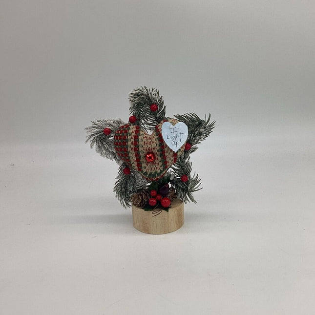 Greenery Star with Red/Green/Tan Coverlet Heart