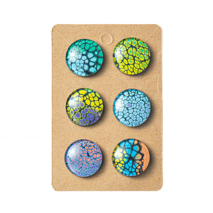 Magnets set of 6
