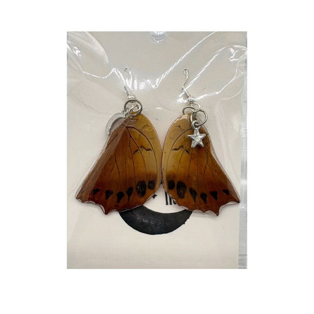 Bottom Wing Charaxes Bernardus Earrings