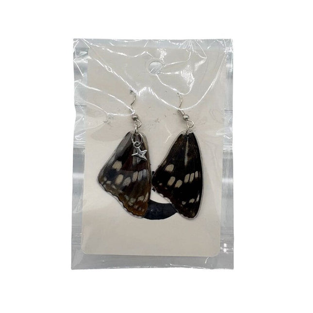 Top Wing Athyma Perius Earrings