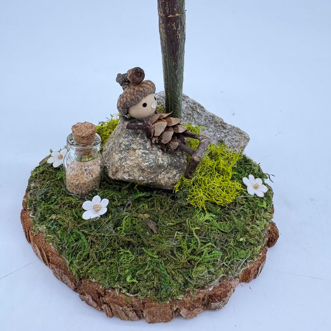 Succulent with Woodlander