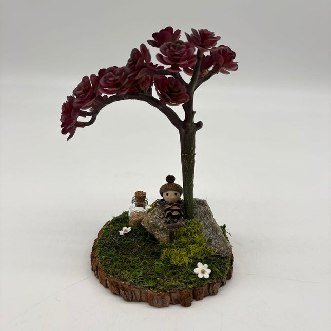 Succulent with Woodlander