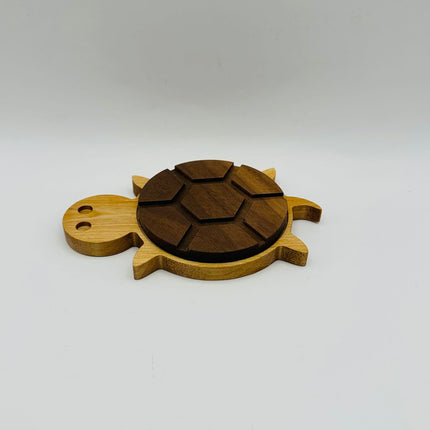 Turtle Coaster