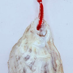 Penguin Oyster Ornament (Kittery, ME) - view 3