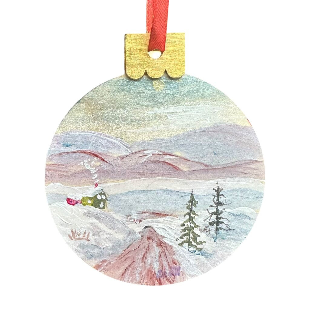 Ornament 22