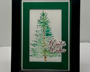 Collection image for: Camlyn Designs