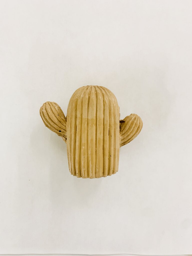 Cactus Ring Holder