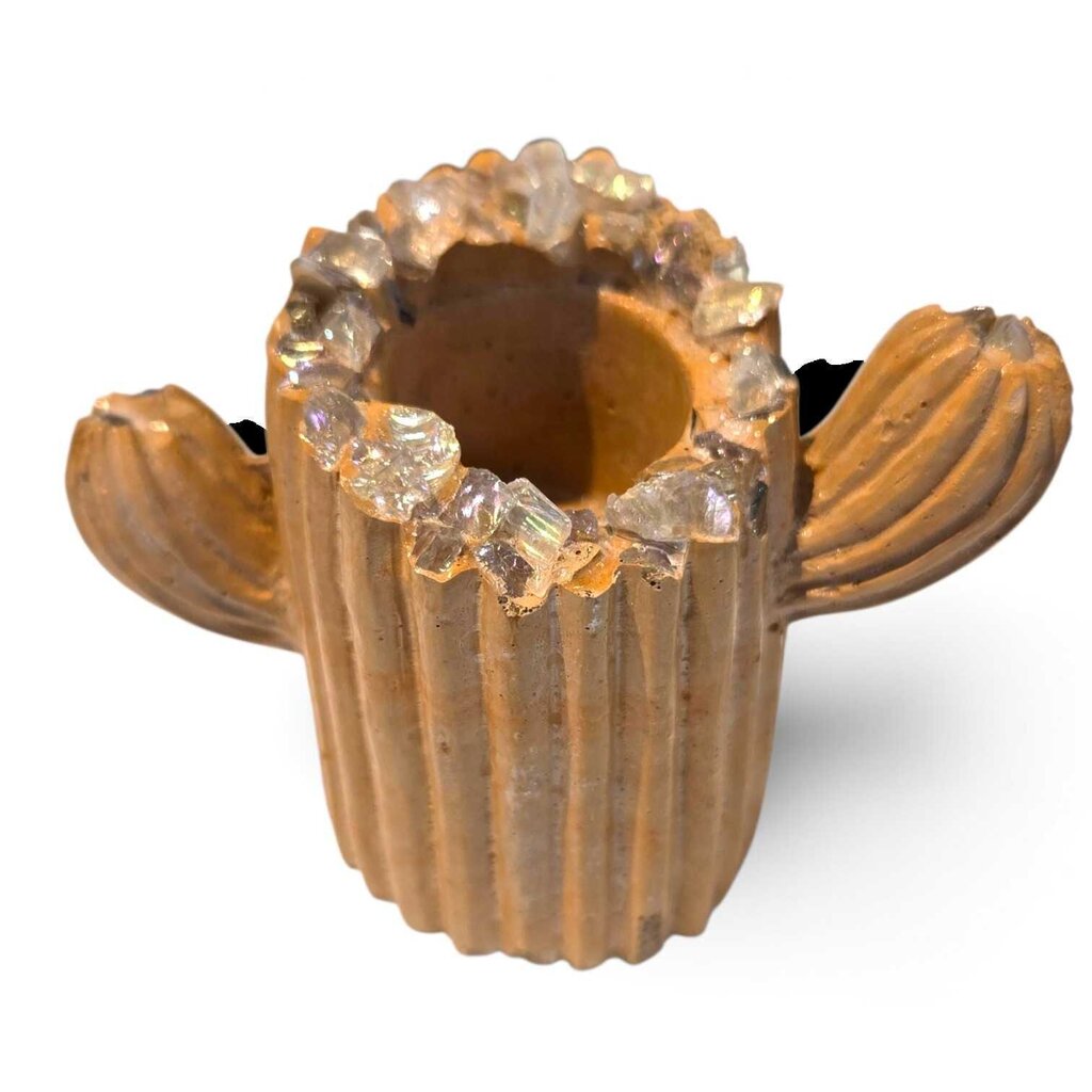 Cactus Ring Holder