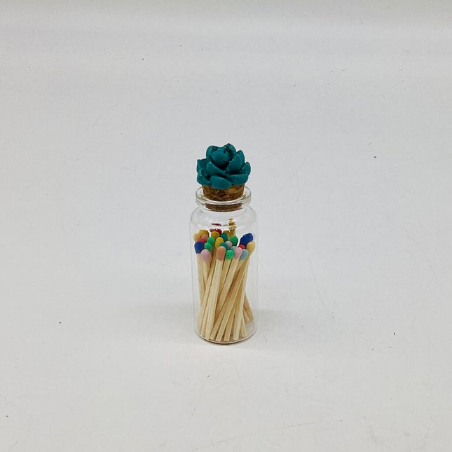 Succulent Glass Match Jar