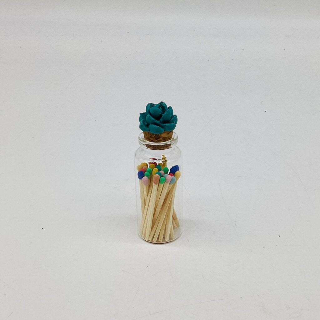 Succulent Glass Match Jar