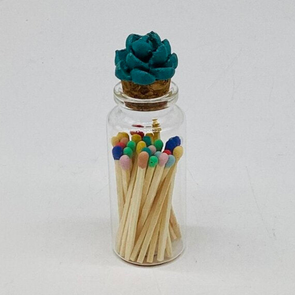 Succulent Glass Match Jar